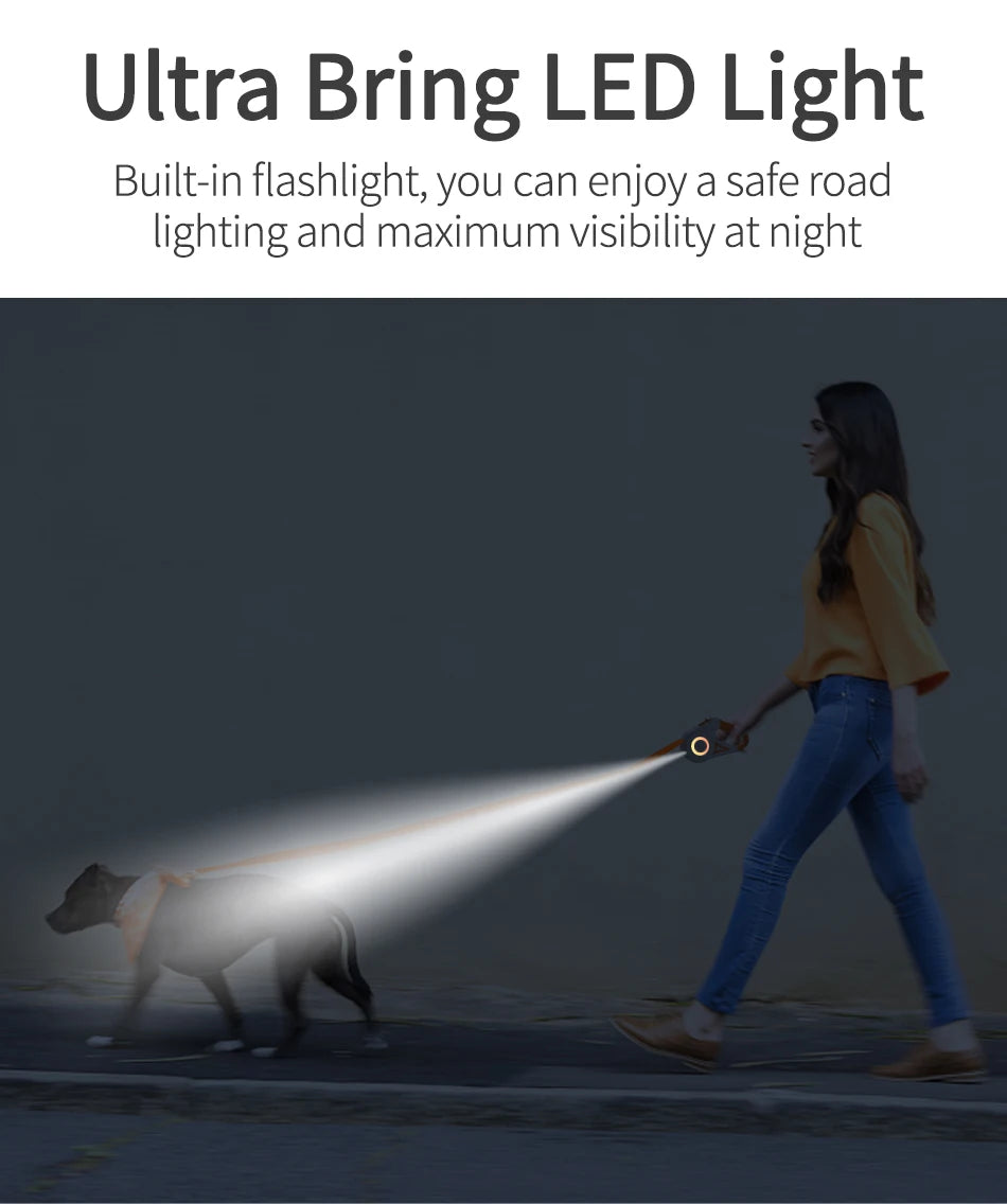 LED Retractable Dog Leash – 5M Reflective