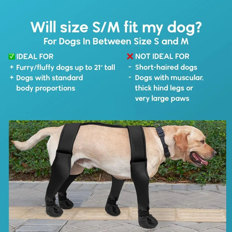 Dog Boots – Paw Protector Set – product image 3