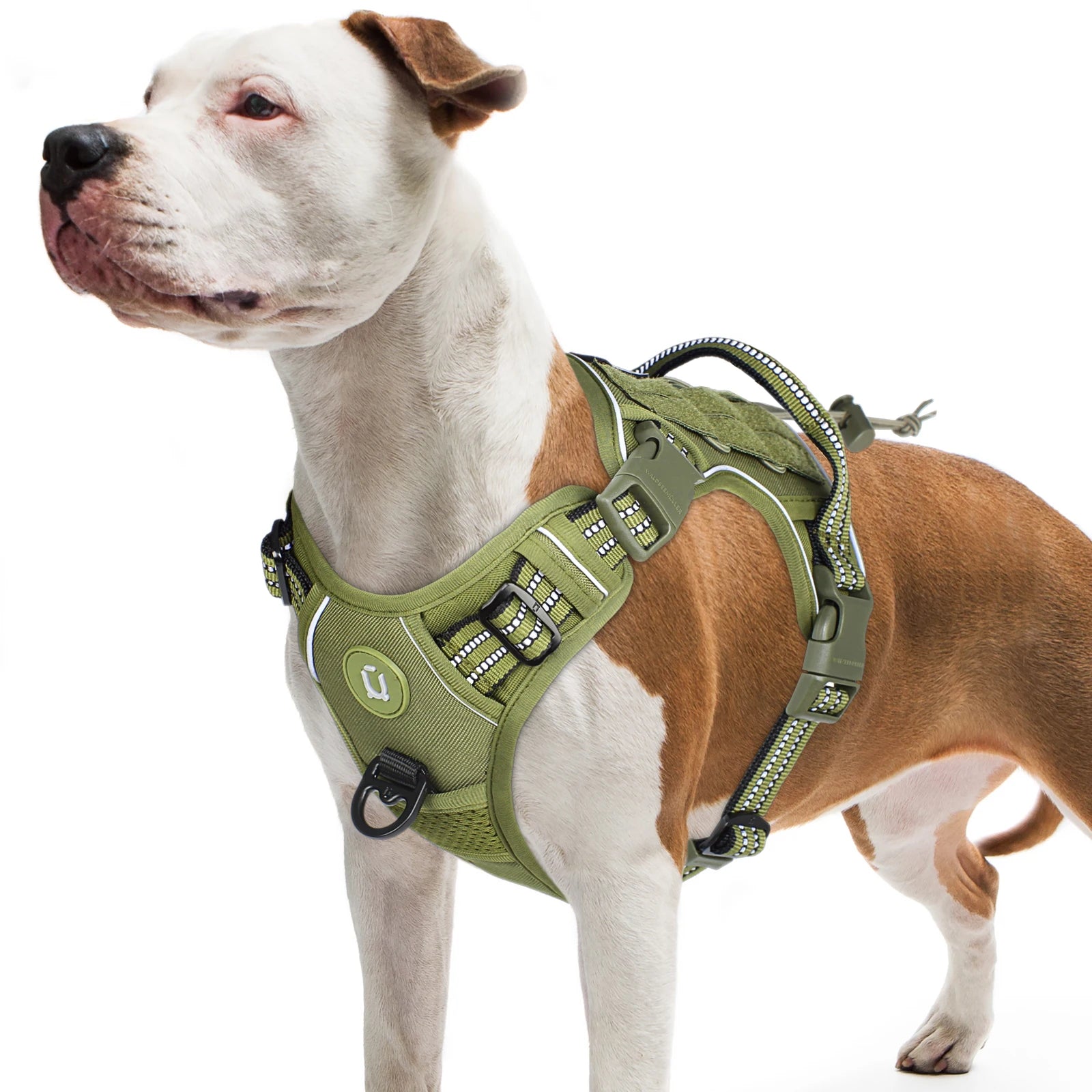 Tactical Dog Harness – MOLLE No-Pull