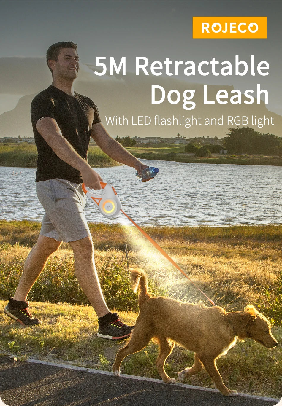 LED Retractable Dog Leash – 5M Reflective