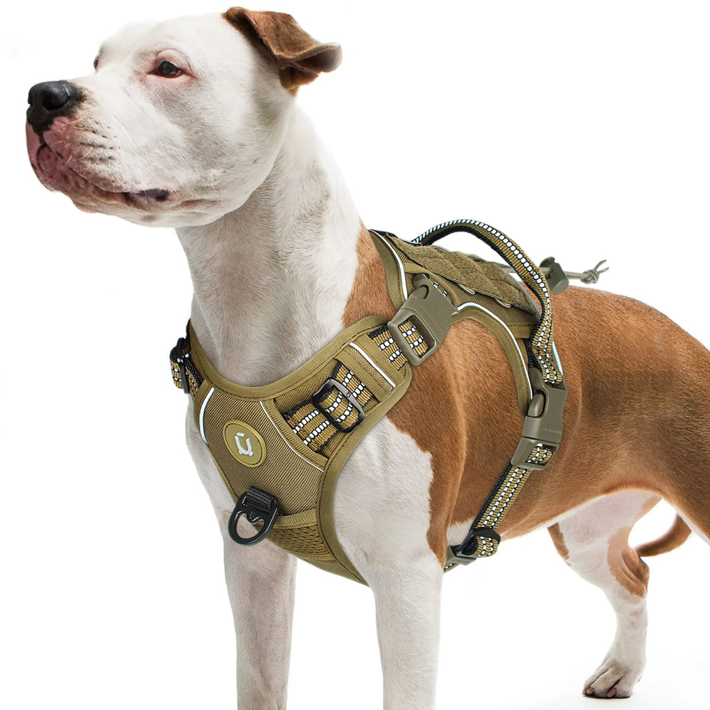 Tactical Dog Harness – MOLLE No-Pull