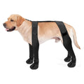 Dog Boots – Paw Protector Set – product image 8