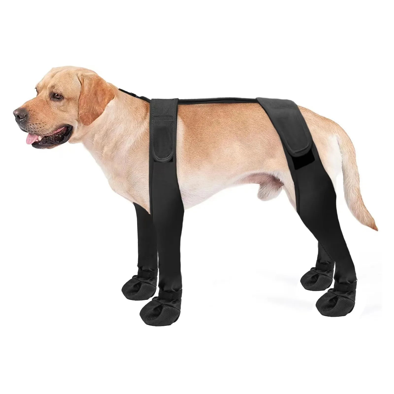 Dog Boots – Paw Protector Set – product image 8