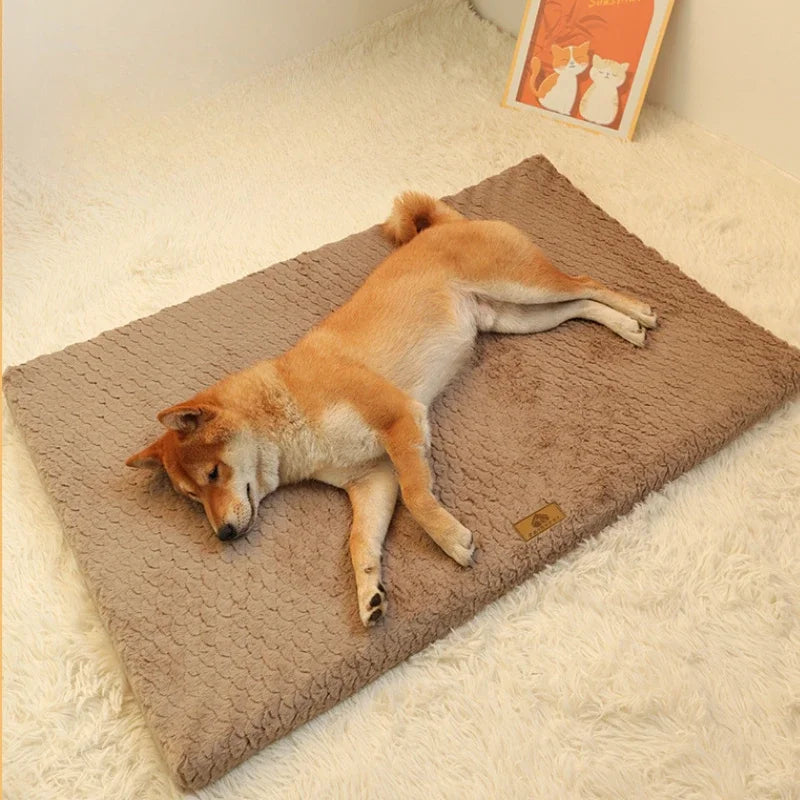 Jumbo Memory Foam Pet Bed with Removable Washable Cover