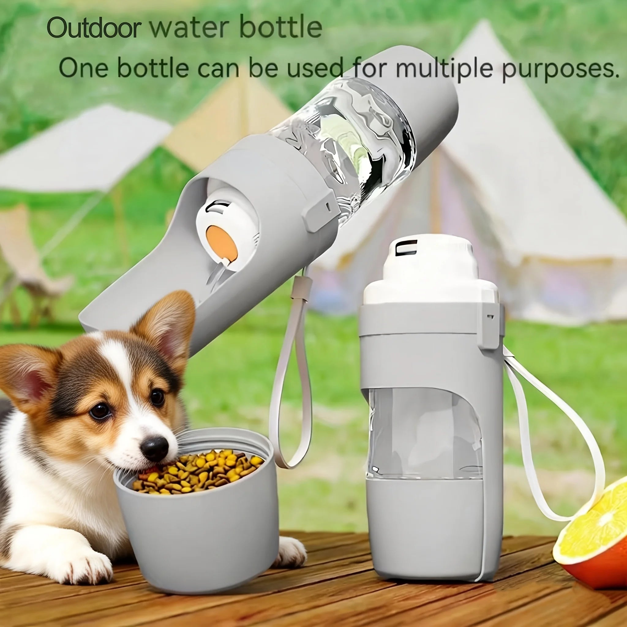 Portable Dog Water Bottle for Walks