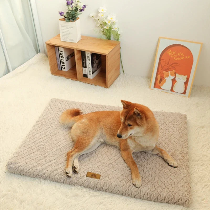 Jumbo Memory Foam Pet Bed with Removable Washable Cover