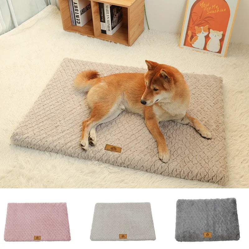 Jumbo Memory Foam Pet Bed with Removable Washable Cover