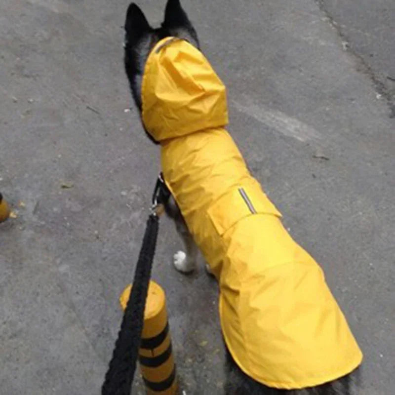 Dog Raincoat with Reflective Stripe – product image 8