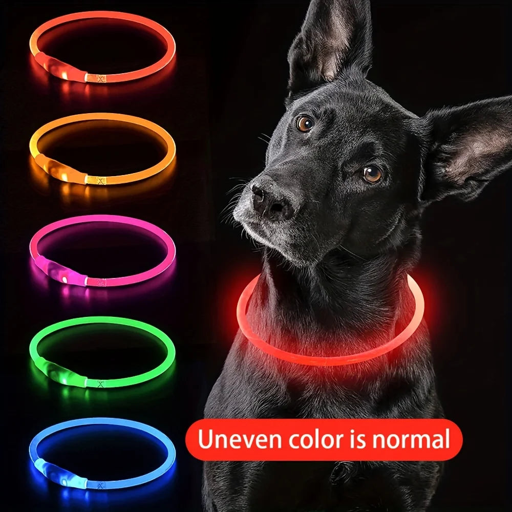 USB Rechargeable LED Dog Collar – product image 2