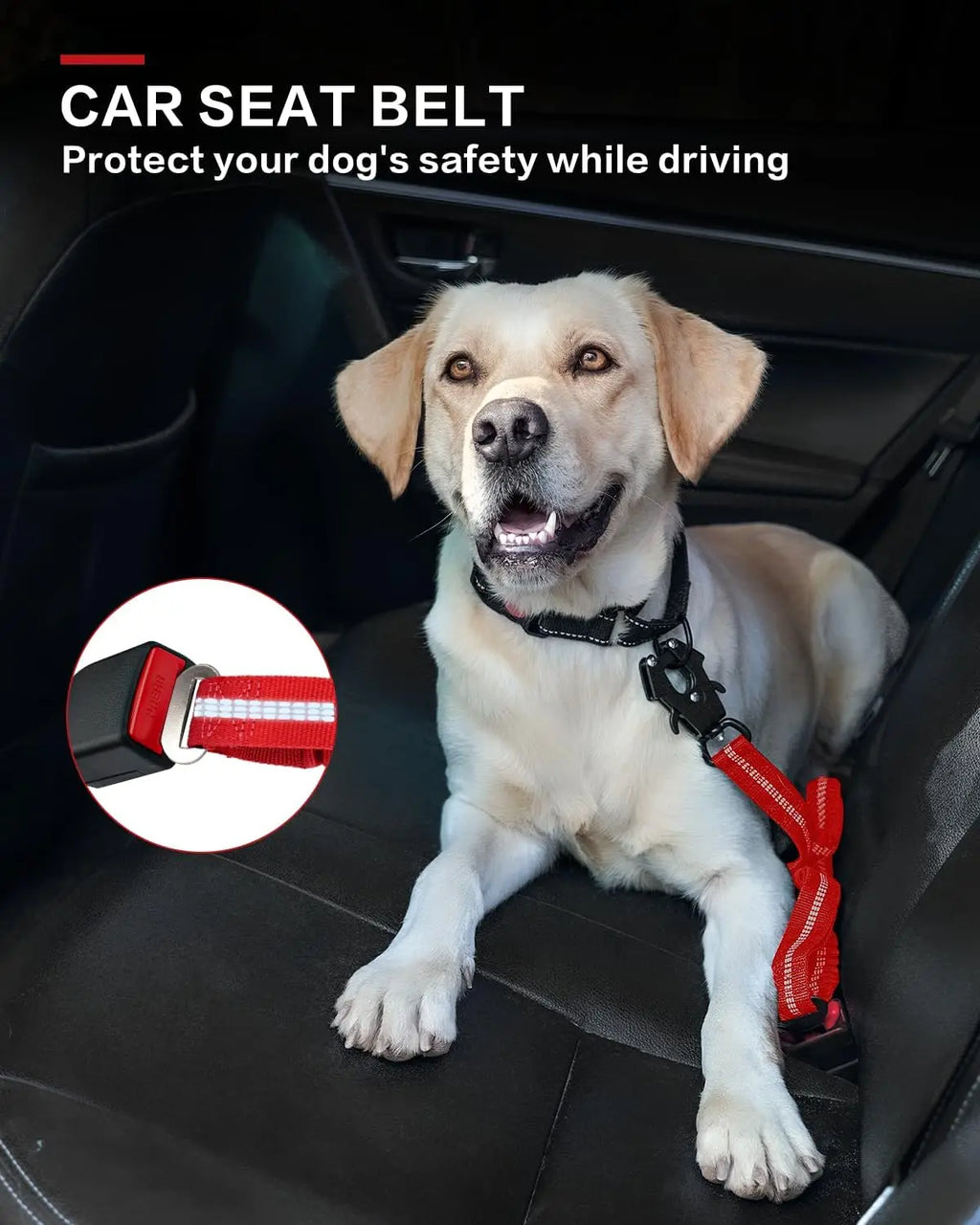 Heavy Duty Tactical Dog Leash – Bungee & Dual Handle