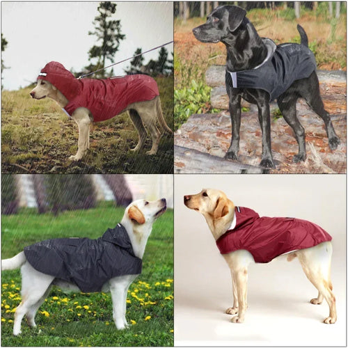 Dog Raincoat with Reflective Stripe – product image