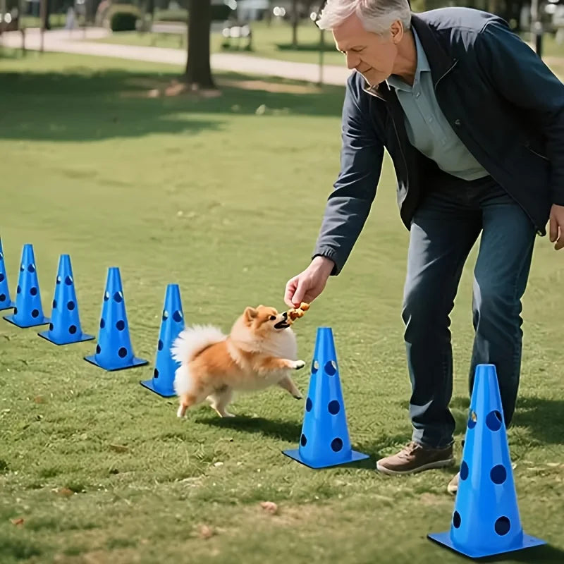 Dog Agility Training Equipment Set