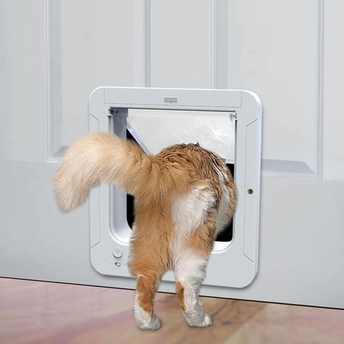 Collar-Activated Cat Door – Selective Entry