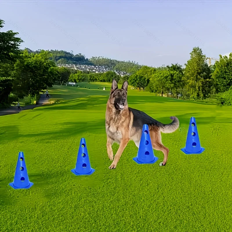 Dog Agility Training Equipment Set