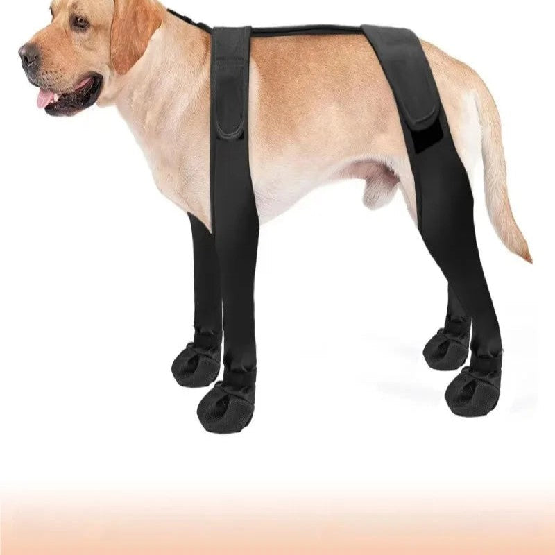 Dog Boots – Paw Protector Set – dog wearing four boots