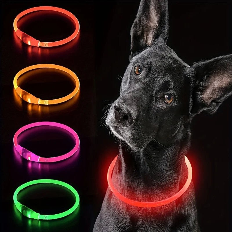 Night Walk Safety Bundle - LED dog collar